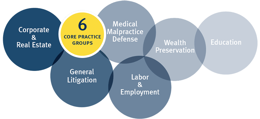 6 Core Practice Areas